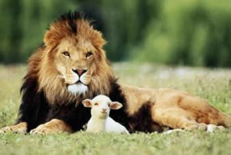 lion-and-the-lamb
